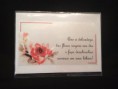/album/amor/img-2286-jpg/
